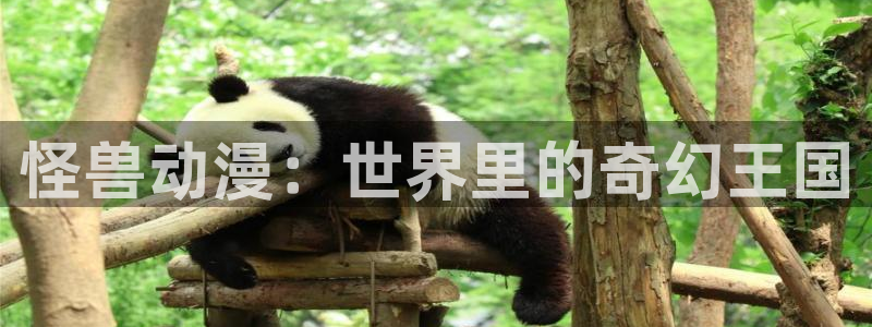 动漫天堂网站