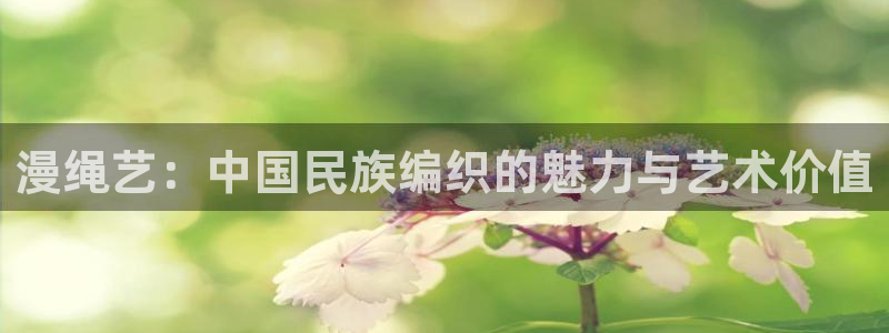 亚洲动漫天堂在线：漫绳艺：中国民族编织的魅力与艺术价值