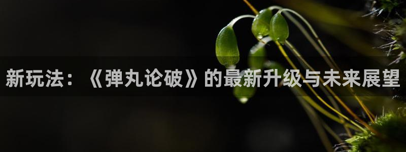 天堂动漫网官网正版入口：新玩法：《弹丸论破》的最新升级与未来展望