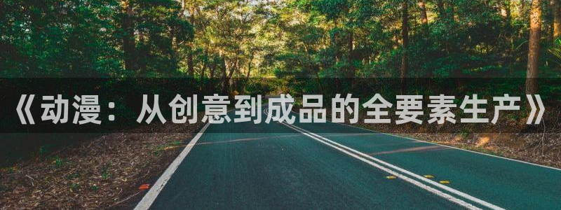 91动漫天堂：《动漫：从创意到成品的全要素生产》