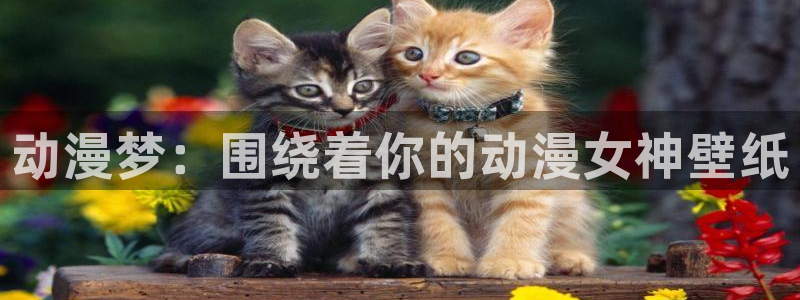 3d动漫天堂：动漫梦：围绕着你的动漫女神壁纸
